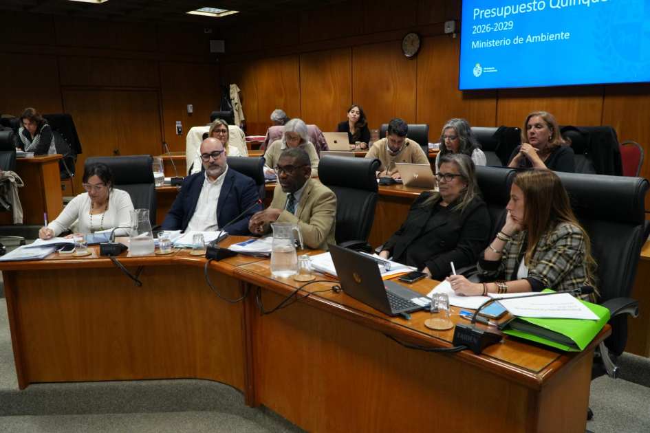 Presentación ante Comisión de Presupuesto y Hacienda del Senado