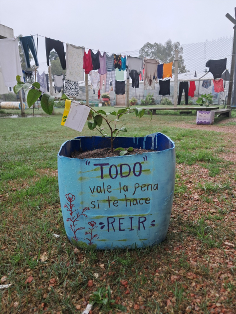 Cursos de flora indígena a mujeres privadas de libertad
