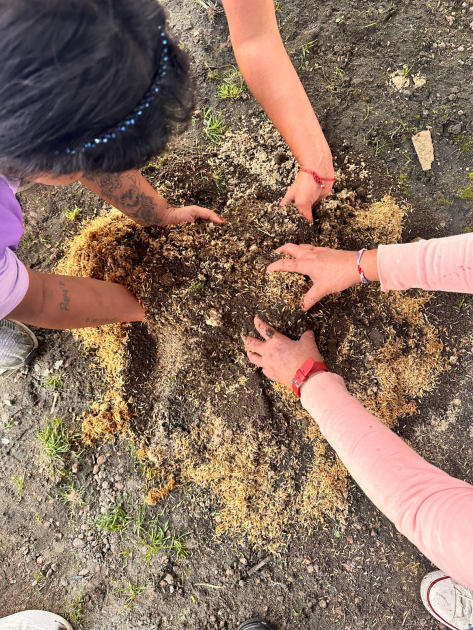 Cursos de flora indígena a mujeres privadas de libertad