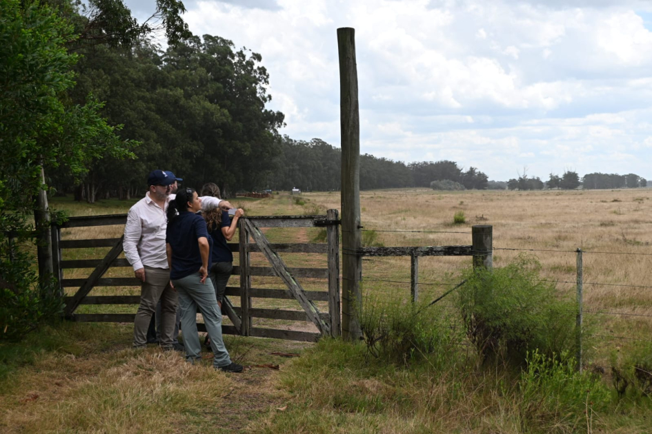 Inspecciones en la costa de Maldonado
