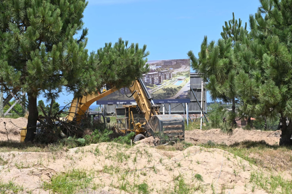 Inspecciones en la costa de Maldonado