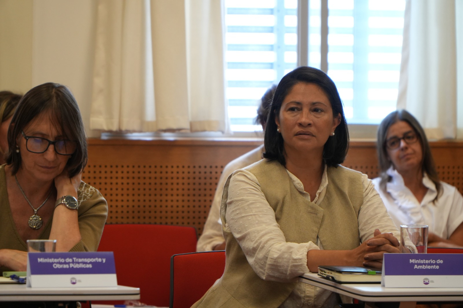 Consejo Nacional de Género