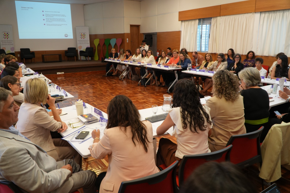 Consejo Nacional de Género