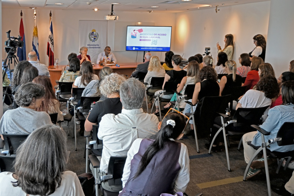 Protocolo de actuación en situaciones de acoso sexual laboral