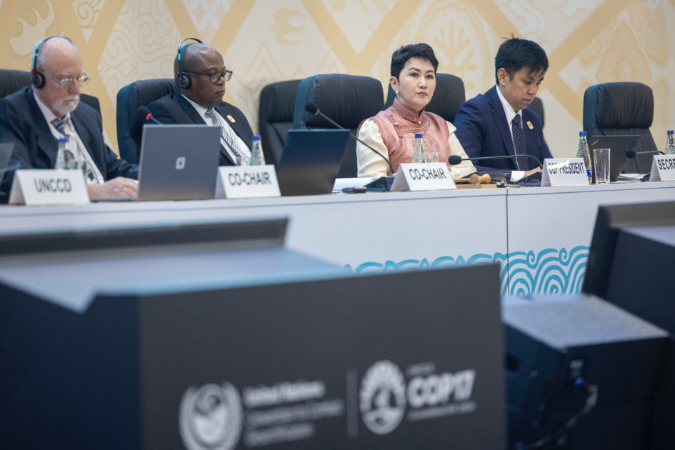 COP 17 de Desertificación
