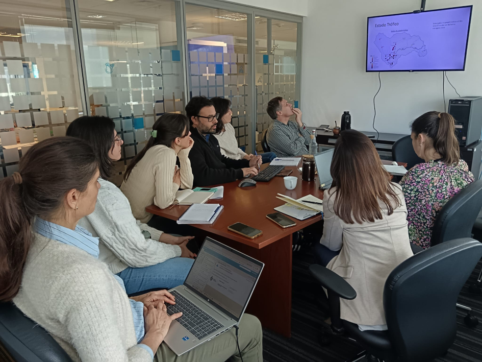 curso curso