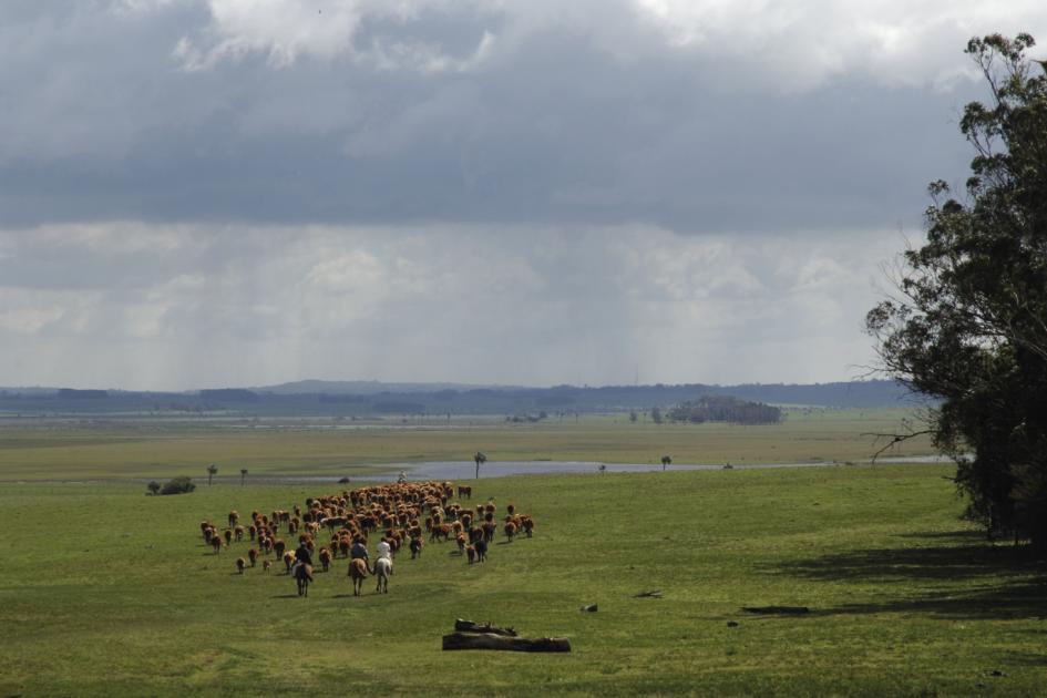 Día de Internacional de la Madre Tierra 2023 Día de Internacional de la Madre Tierra 2023