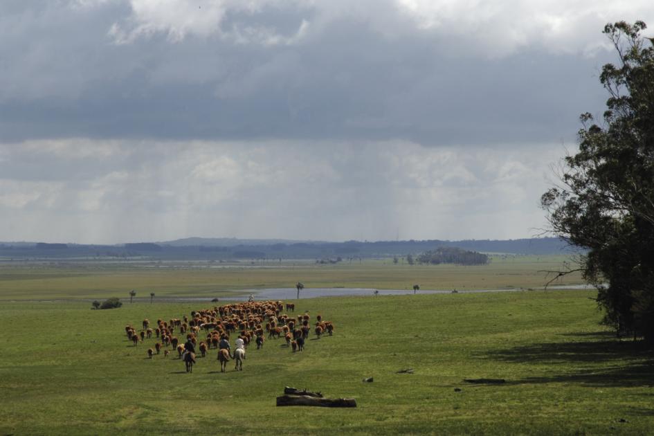 Día de Internacional de la Madre Tierra 2023