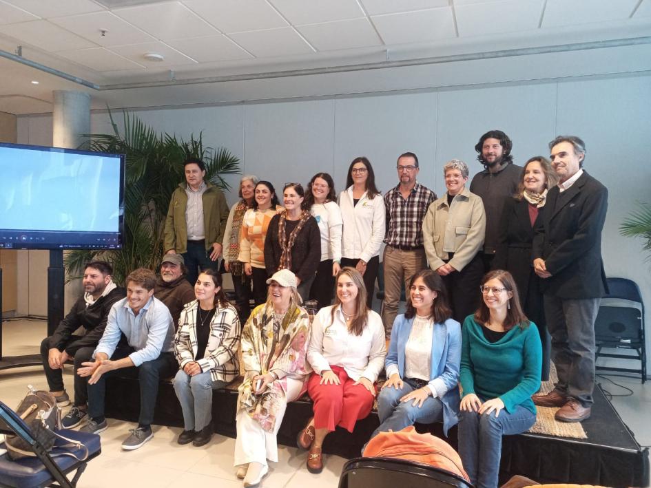 presentación presentación