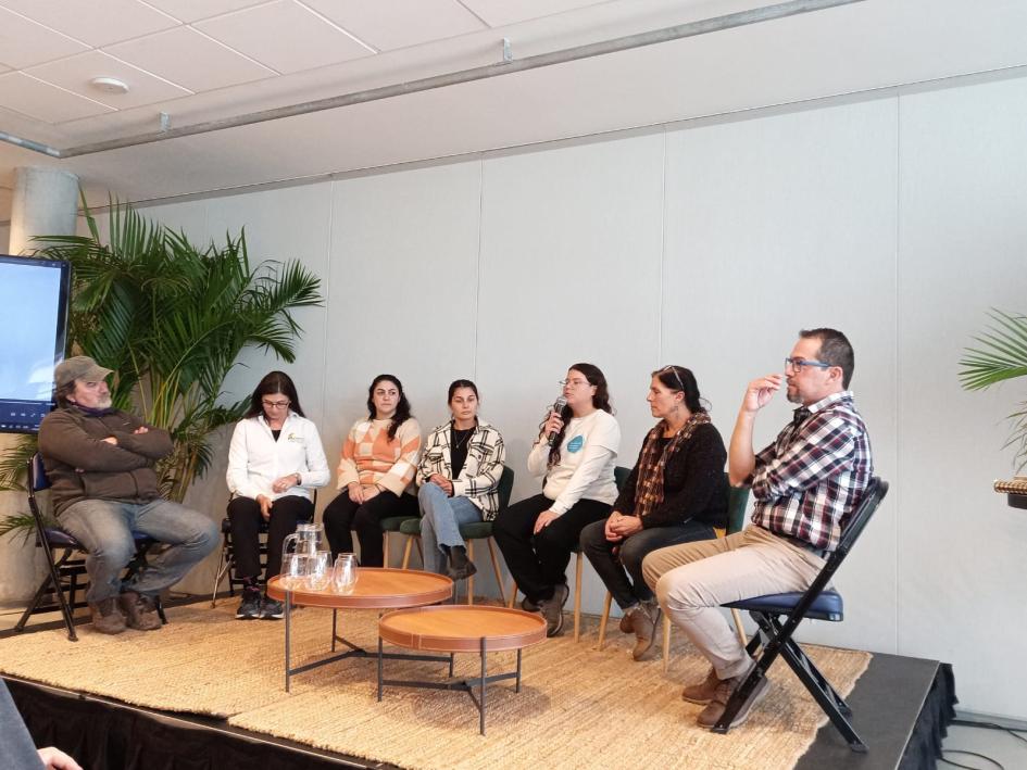 presentación presentación
