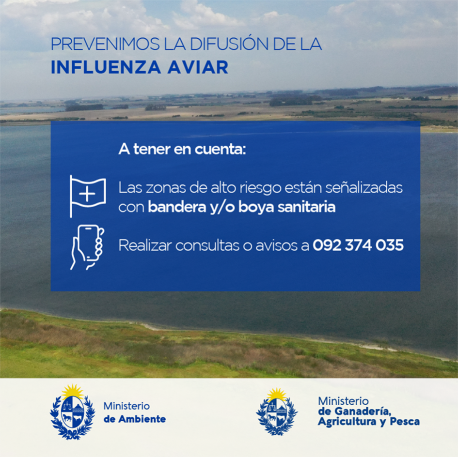 Recomendaciones Gripe Aviar Recomendaciones Gripe Aviar