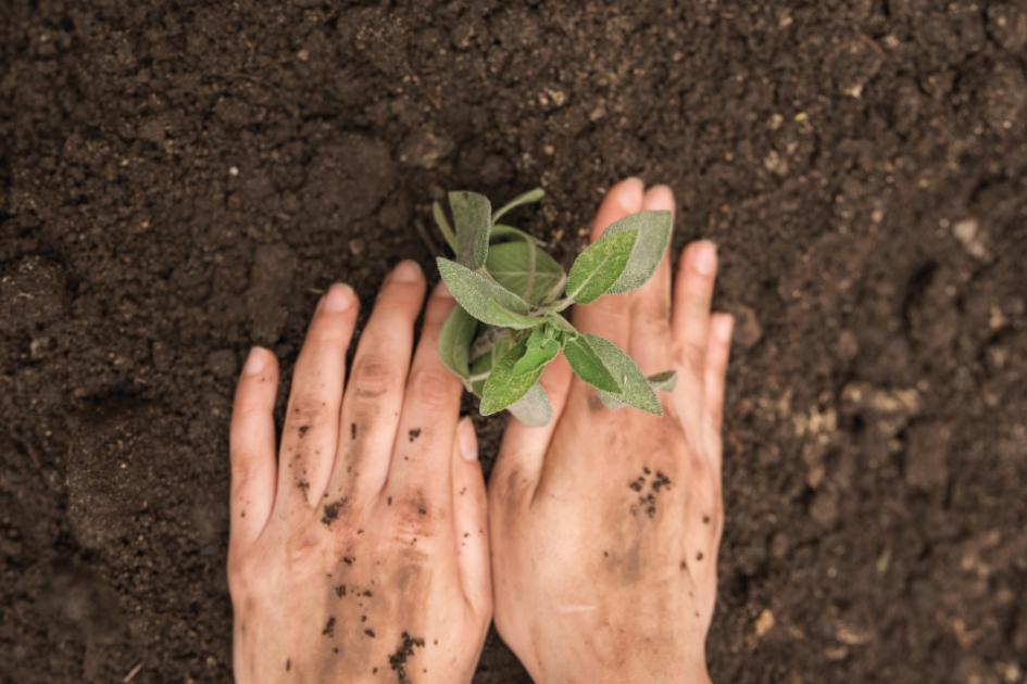 Día Internacional de la Desertificación y la Sequía 2023 Día Internacional de la Desertificación y la Sequía 2023