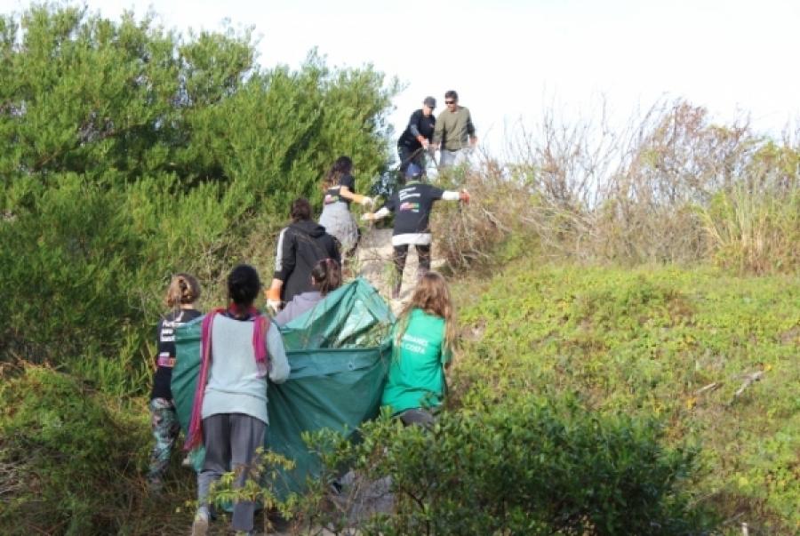 Voluntariado Voluntariado