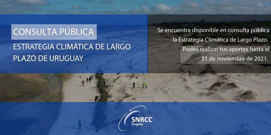 Consulta Pública ECLP Consulta Pública ECLP
