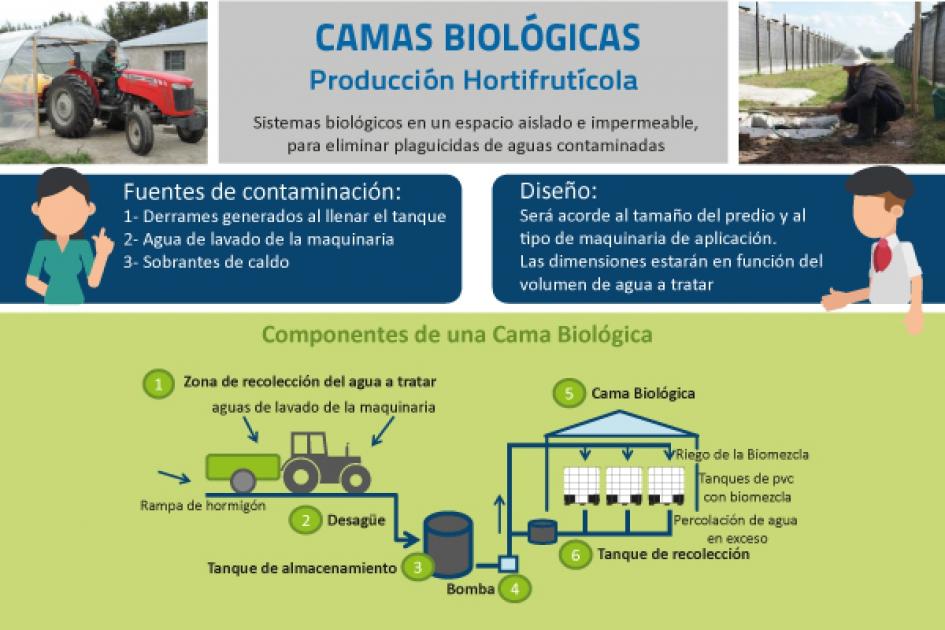 camas biológicas