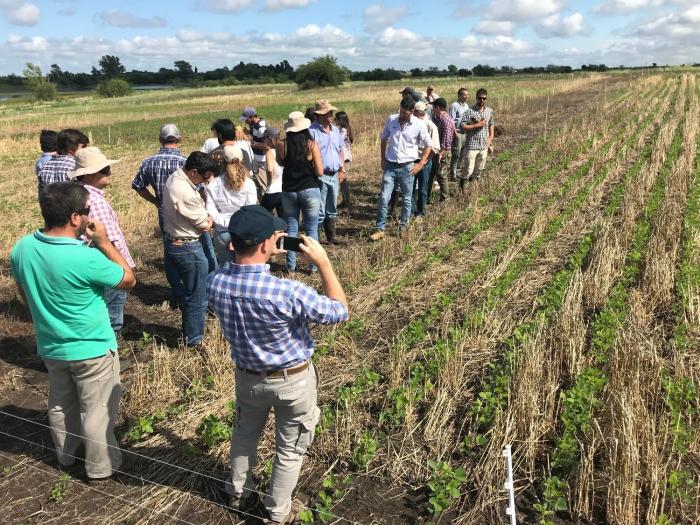 capacitación en campo