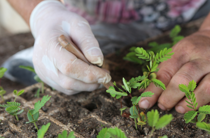 ¿Qué es la agroecología?