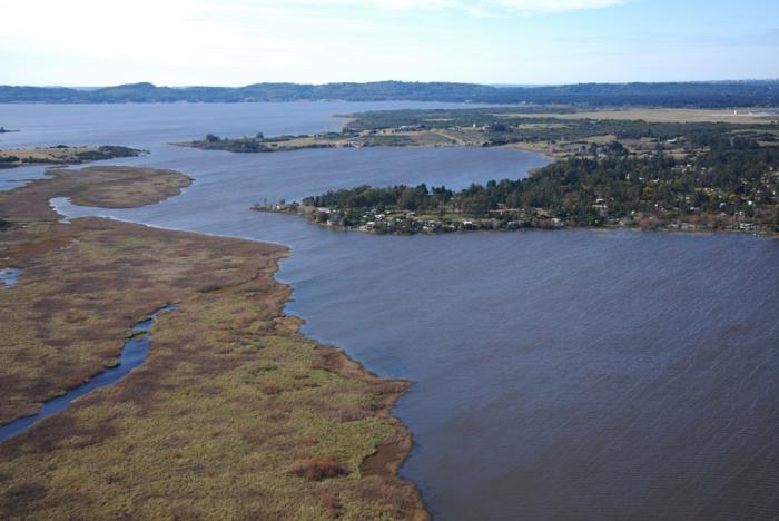 Laguna