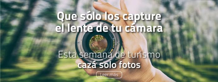 Lente de la cámara sacando foto de carpincho