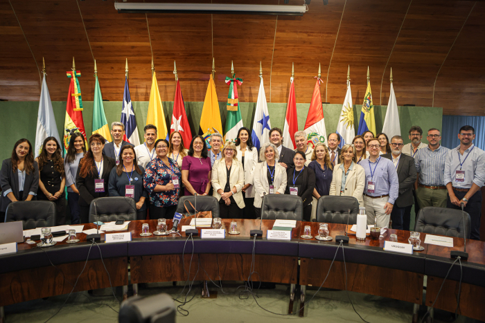 Uruguay fue sede de taller regional sobre reducción del uso de amalgamas dentales 