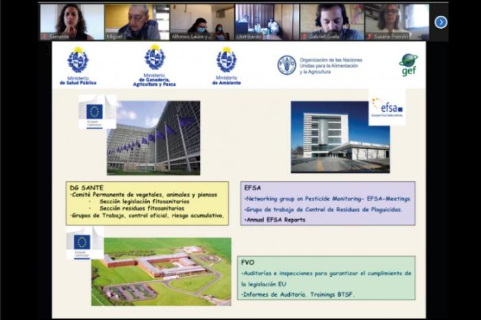 Captura de pantalla Taller “Simulacro de una auditoría de la comunidad europea de plaguicidas”
