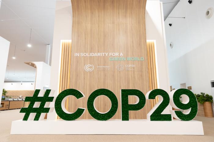 COP29