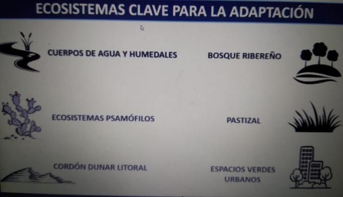 Ecosistemas que aportan a la adaptación Momento de la presentación en que se analizan los ecosistemas que aportan a la adaptación