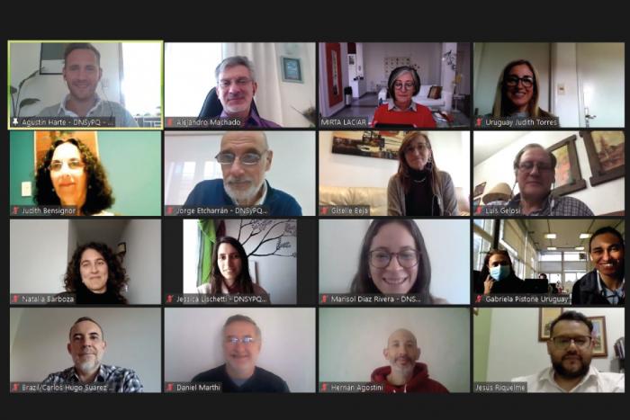 Reunión virtual - Medio Ambiente MERCOSUR