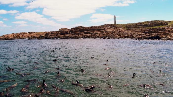 Isla de Lobos SNAP