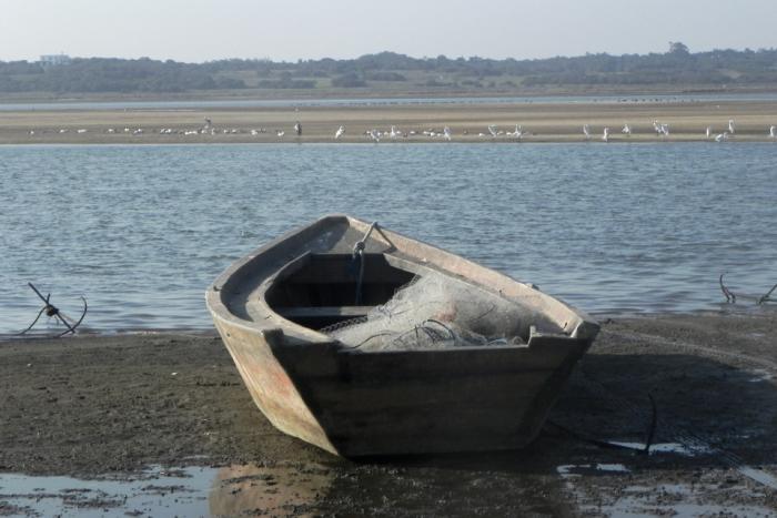 Laguna José Ignacio, Maldonado (Foto: Ana Martínez, Dinara - MGAP)