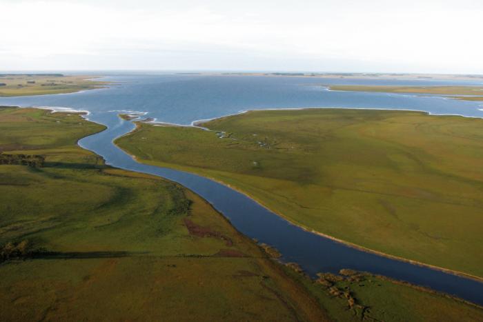 Laguna de Rocha