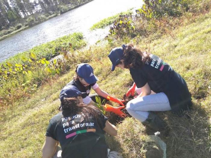 Voluntariado