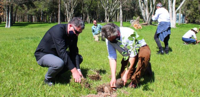 El subsecretario del Ministerio de ambiente, Gerardo Amarilla, plantando árboles nativos. 