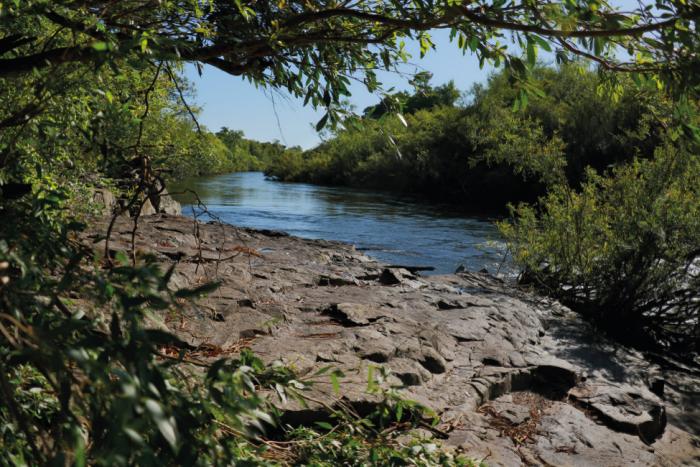 Área Protegida Montes del Queguay