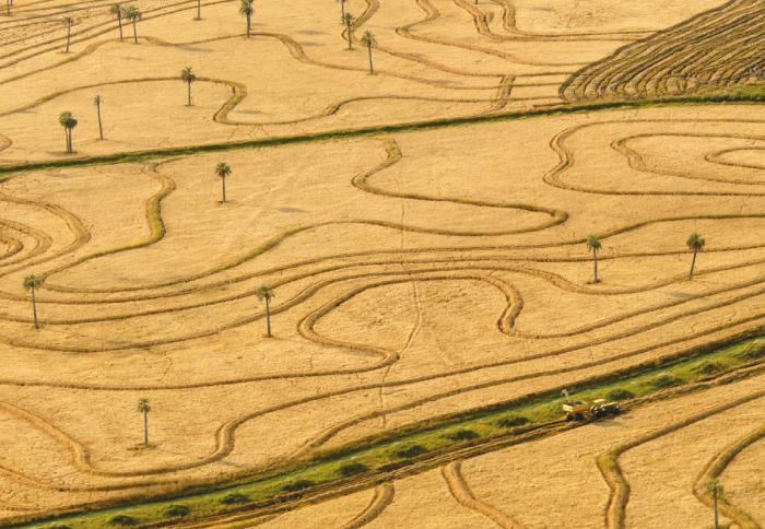 Distinción a buenas prácticas para el arroz en el Día de los Humedales Distinción a buenas prácticas para el arroz en el Día de los Humedales