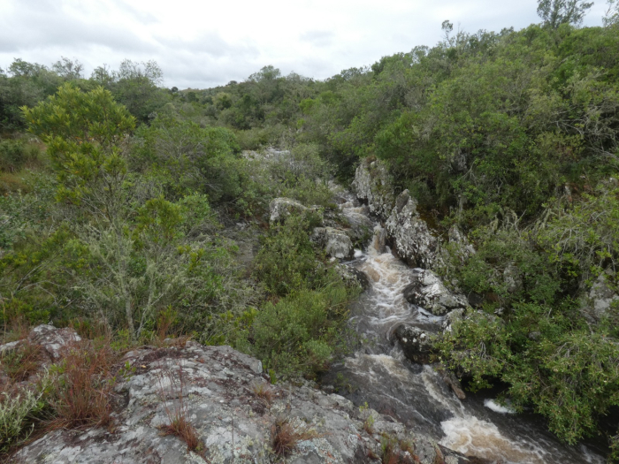 Reservas privadas Reservas privadas