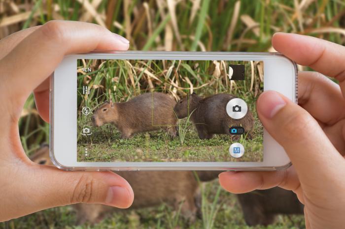 Campaña: “Cazá solo fotos” - Semana de Turismo