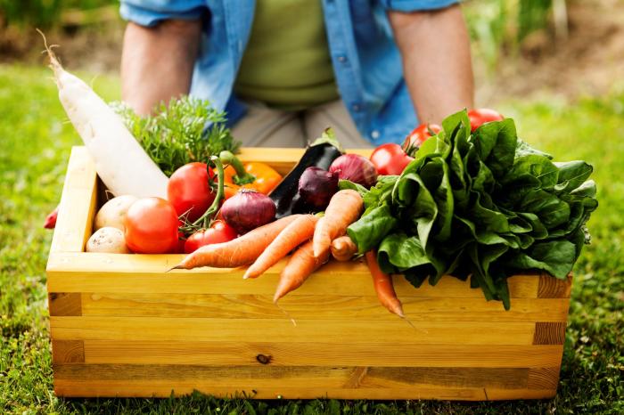 alimentos alimentos