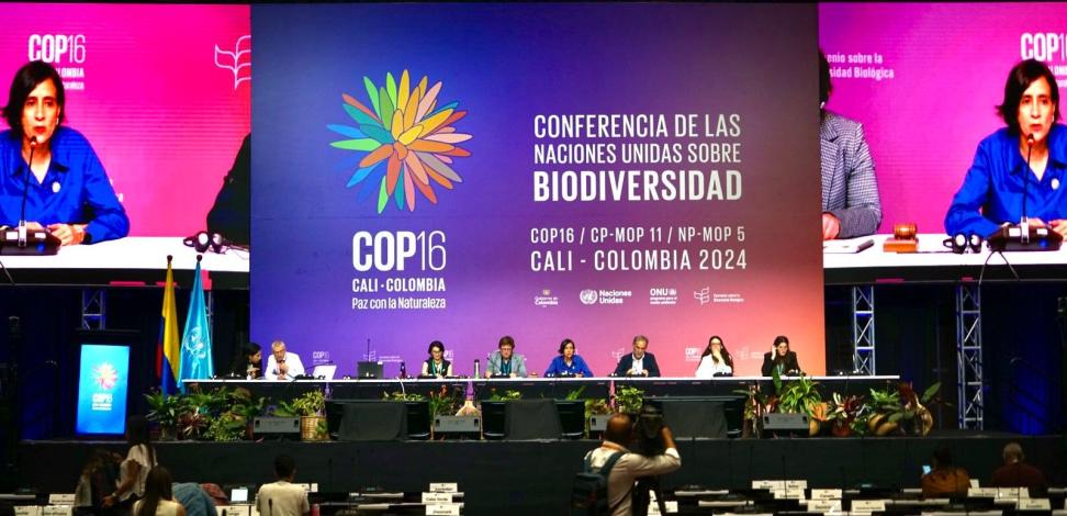 Uruguay en la Cop16 de Diversidad Biológica