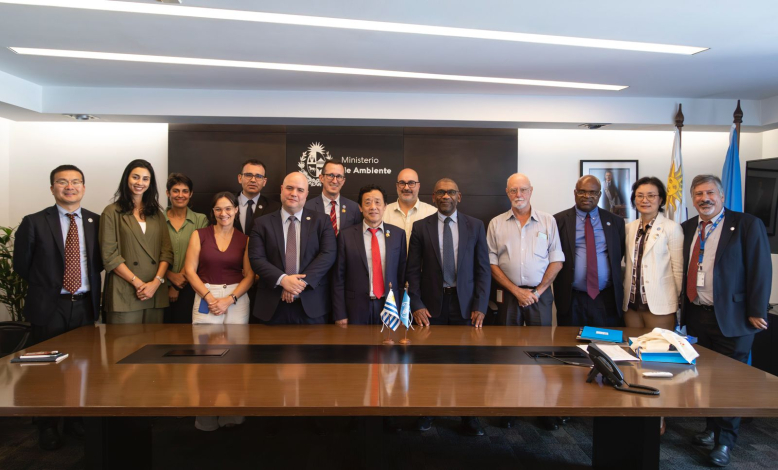 FAO/Ana Luisa Gencarelli. Editorial use only. Copyright FAO/Ana Luisa Gencarelli. Editorial use only. Copyright