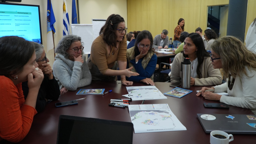 Taller humedales