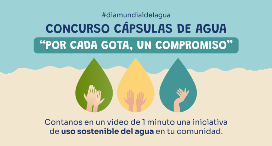 Conocé a los ganadores del concurso "Capsulas de Agua"