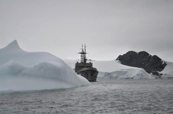 Buque ROU 22 Oyarvide navegando en la Antártida