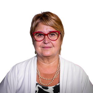 Ministra de Defensa Sandra Lazo