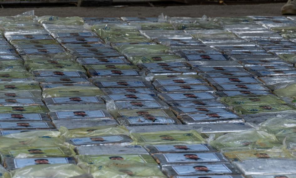 Incautación de mas de 600 kg de cocaina Incautación de mas de 600 kg de cocaina
