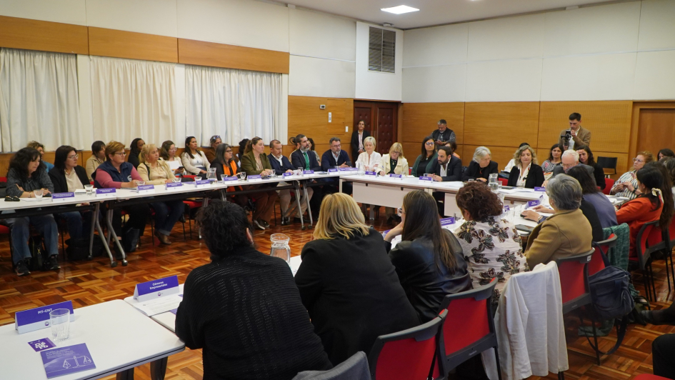 Primera Sesión del Consejo Nacional de Género