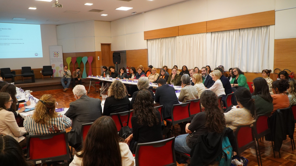 Primera Sesión del Consejo Nacional de Género