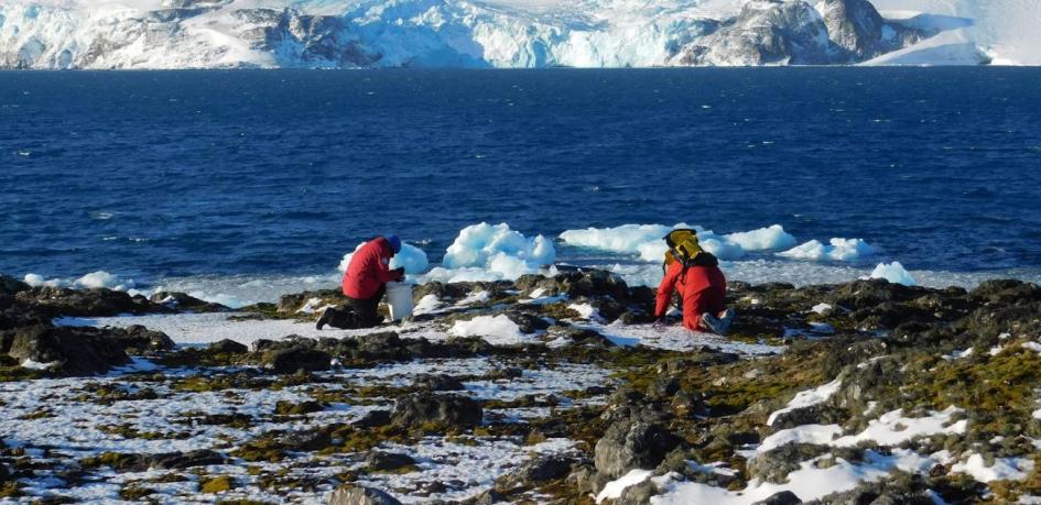 Científicos trabajando en terreno en la Antártida