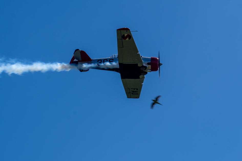 111 Aniversario de la Fuerza Aérea Uruguaya