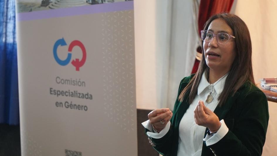 Capacitaciones con las Comisiones Especializadas en Género Capacitaciones con las Comisiones Especializadas en Género